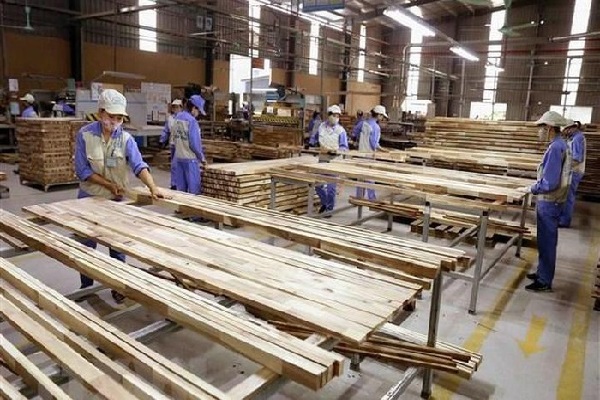 Kiểm tra việc áp dụng mã HS đối với nhóm các mặt hàng gỗ cao su xuất khẩu dạng tấm